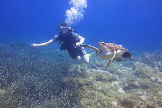 Tour image 4