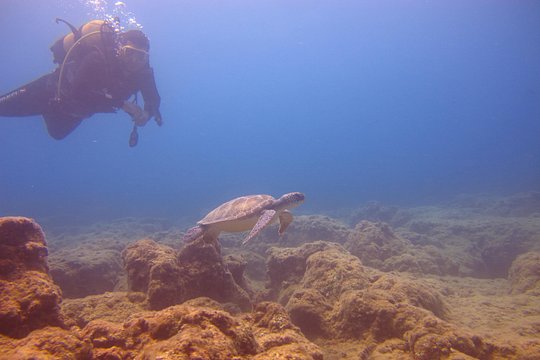 Tour image 5