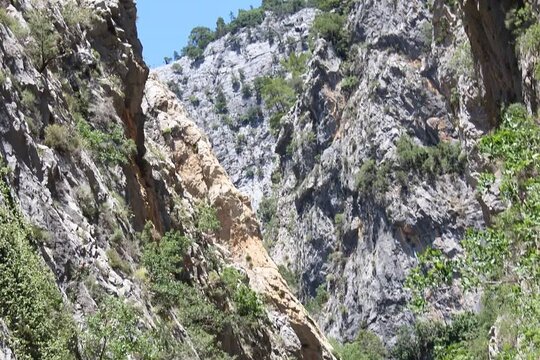 Tour image 5