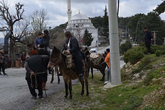 Tour image 10